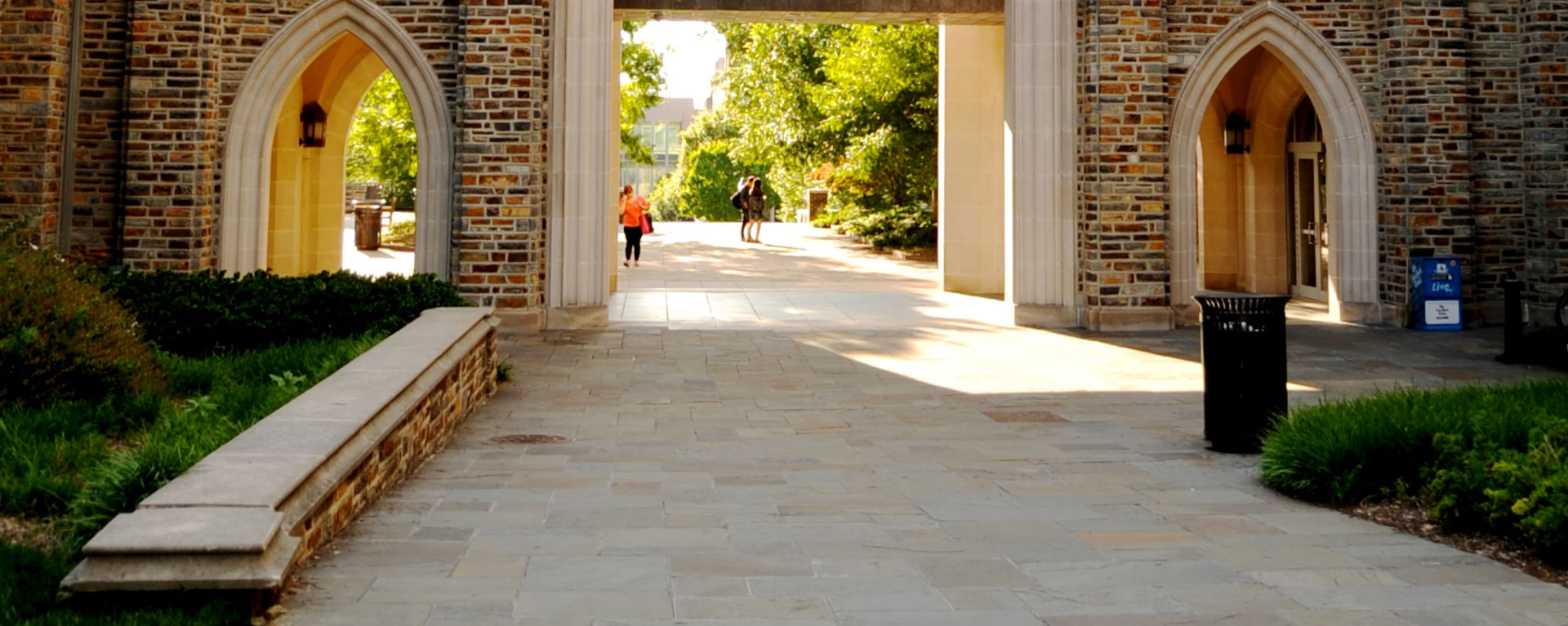 Library bridge